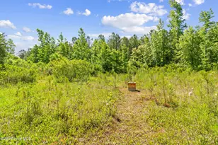 5840 Green Swamp Rd NW, Ash, NC 28420 - Photo 26