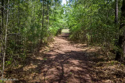 1387 Star Grass Way, Leland, NC 28451 - Photo 82