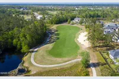 1387 Star Grass Way, Leland, NC 28451 - Photo 90