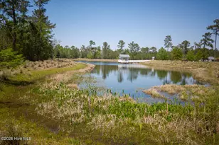 1387 Star Grass Wy, Leland, NC 28451 - Photo 60
