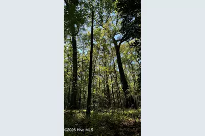 0 Union Church Road, Cameron, NC 28326 - Photo 6