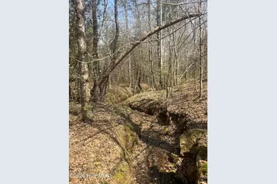 Tbd Healing Acres Lane, Carthage, NC 28327 - Photo 14