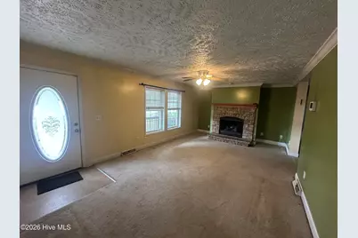 816 Menola Saint Johns Road, Ahoskie, NC 27910 - Photo 6