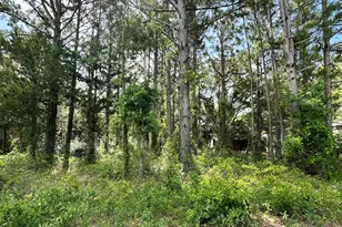 2983 Canna Pl SW, Shallotte, NC 28470 - Photo 1