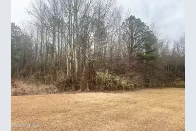 0 Center Hill Highway, Hertford, NC 27944 - Photo 2