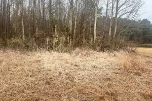 0 Center Hill Hwy, Hertford, NC 27944 - Photo 1