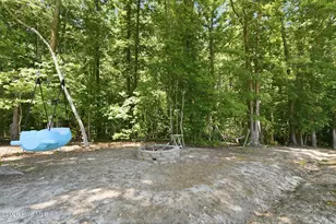 542 Little Rock Ct, Carthage, NC 28327 - Photo 42