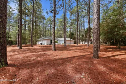 355 Serpentine Drive, Southern Pines, NC 28387 - Photo 52
