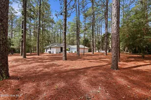 355 Serpentine Dr, Southern Pines, NC 28387 - Photo 52