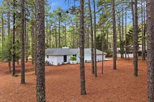 355 Serpentine Dr, Southern Pines, NC 28387 - Photo 54