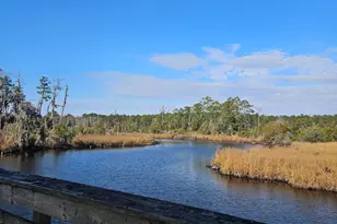 1040 Broad Creek Rd, New Bern, NC 28560 - Photo 46
