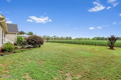 1202 Old Smith Chapel Road, Mount Olive, NC 28365 - Photo 34