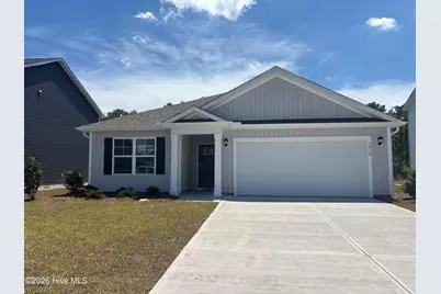 1010 Pampas Grass Drive #Lot 325, Castle Hayne, NC 28429 - Photo 1