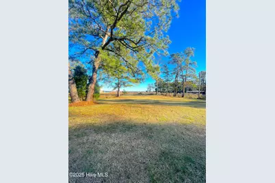 326 Woodstock Lane, Belhaven, NC 27810 - Photo 6