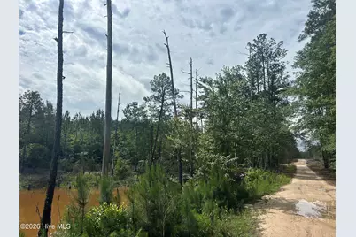 0 E V Hogan Drive, Rockingham, NC 28379 - Photo 14