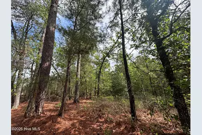 0 E V Hogan Drive, Rockingham, NC 28379 - Photo 12