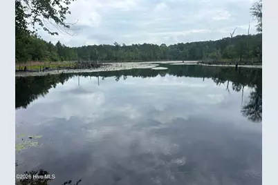 0 E V Hogan Drive, Rockingham, NC 28379 - Photo 1