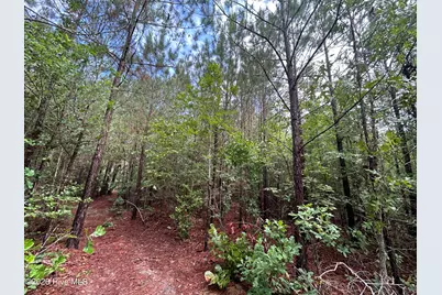 0 E V Hogan Drive, Rockingham, NC 28379 - Photo 10