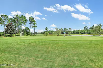1205 Grandiflora Drive, Leland, NC 28451 - Photo 58