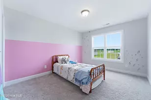 700 Puppy Drum Ln, Maysville, NC 28555 - Photo 50