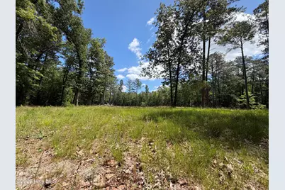 979 Aiken Road, Vass, NC 28394 - Photo 10