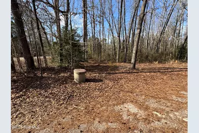 979 Aiken Road, Vass, NC 28394 - Photo 24