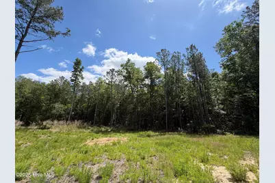 979 Aiken Road, Vass, NC 28394 - Photo 18