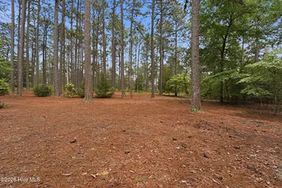 70 Live Oak Lane, Pinehurst, NC 28374 - Photo 8
