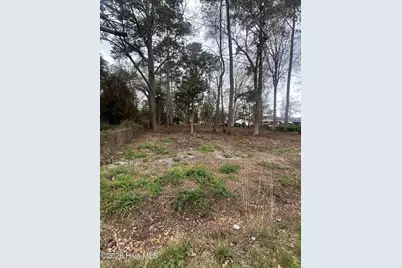 205 Nancy Drive, Mar-Mac, NC 28333 - Photo 4