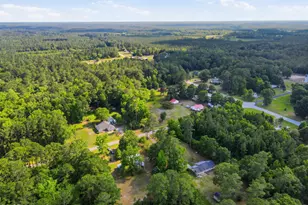 193 Whitley Rd, Aurora, NC 27806 - Photo 14