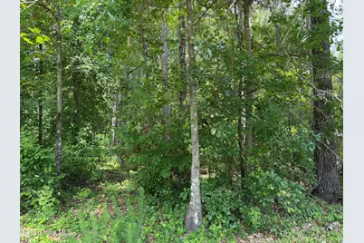 118 Ferret Run Lane, New Bern, NC 28562 - Photo 10
