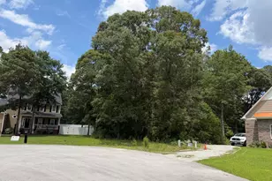118 Ferret Run Ln, New Bern, NC 28562 - Photo 1