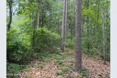 118 Ferret Run Lane, New Bern, NC 28562 - Photo 8