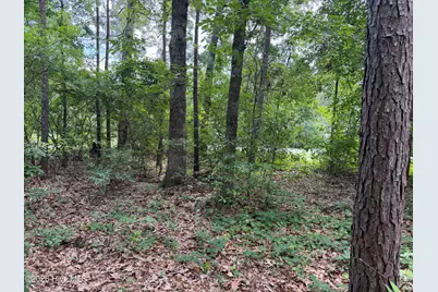 118 Ferret Run Lane, New Bern, NC 28562 - Photo 4