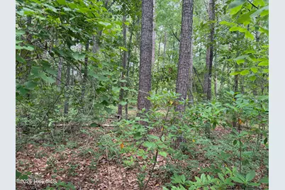 118 Ferret Run Lane, New Bern, NC 28562 - Photo 6
