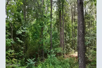 0 Ruby's Lane, Maysville, NC 28555 - Photo 26