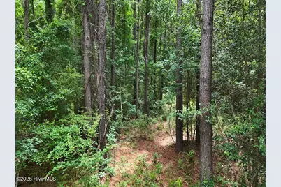 0 Ruby's Lane, Maysville, NC 28555 - Photo 22