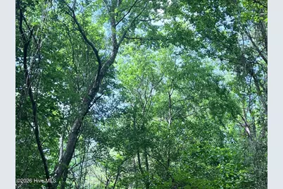 0 Ruby's Lane, Maysville, NC 28555 - Photo 28