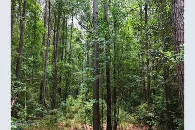 0 Ruby's Lane, Maysville, NC 28555 - Photo 16
