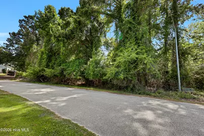 L32 Twelve Pointer Road, Hampstead, NC 28443 - Photo 6
