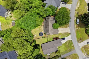 103 Southern Magnolia Ct, Hampstead, NC 28443 - Photo 54