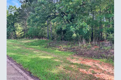 1048 Clinton-Williams Road, Lincolnton, GA 30817 - Photo 2