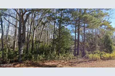 1616 Star Cross Drive SW, Shallotte, NC 28470 - Photo 1