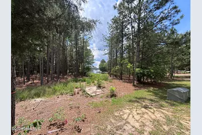449 Longleaf Drive, West End, NC 27376 - Photo 4