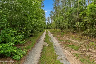 7358 Ivanhoe Rd, Ivanhoe, NC 28447 - Photo 36