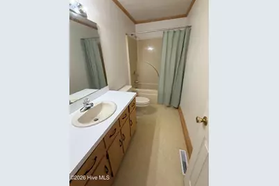 1437 Louie Pollock Road, La Grange, NC 28551 - Photo 18