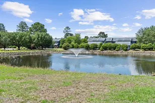111 Widgeon Cir, Hampstead, NC 28443 - Photo 52