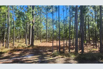 Lot 303 Mission Road, Southport, NC 28461 - Photo 1