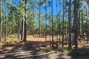 Lot 303 Mission Rd, Southport, NC 28461 - Photo 1