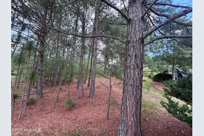 111 Callis Circle, West End, NC 27376 - Photo 18
